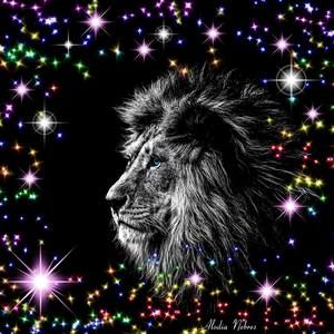 Meet your Posher, Rhonda